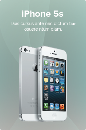 TEMİZLİK/TRAFİK